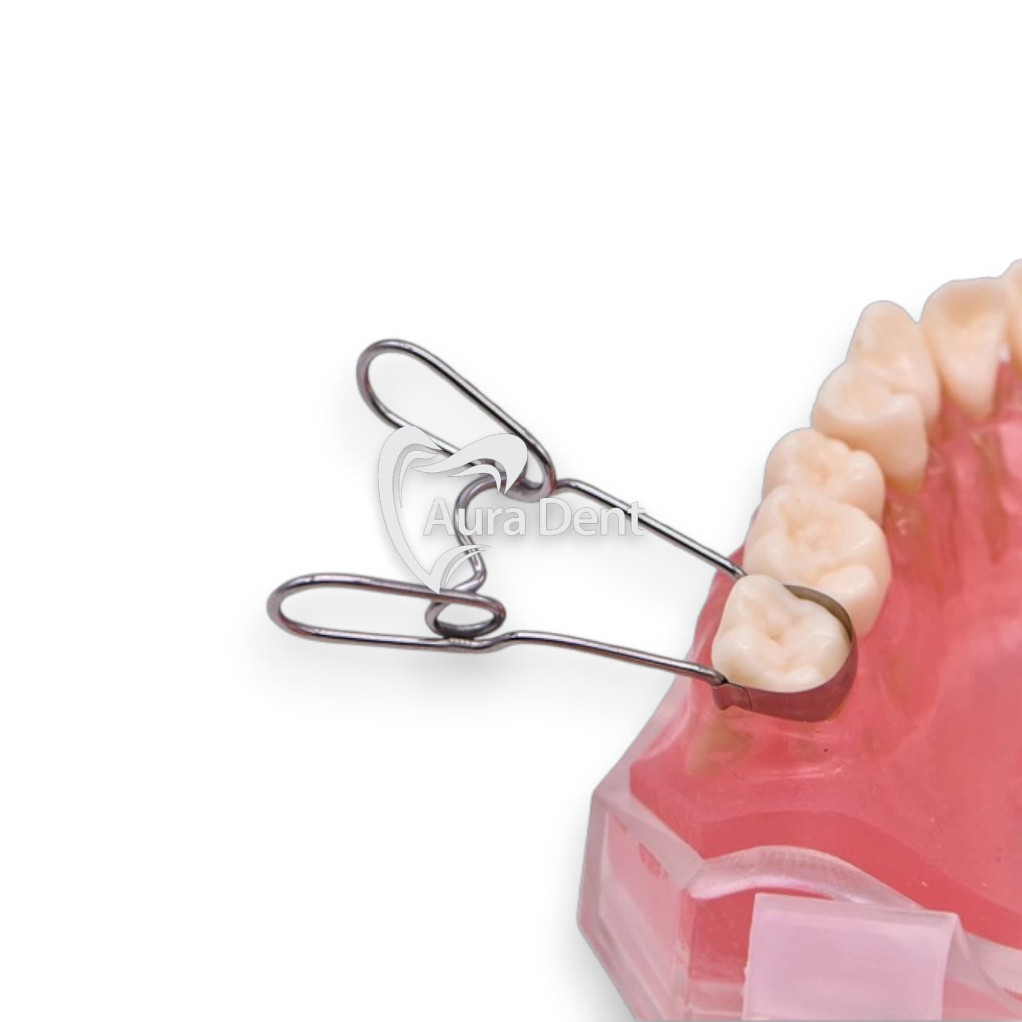 Matrices métalliques profilées universelles (36 pièces) - AuraDent